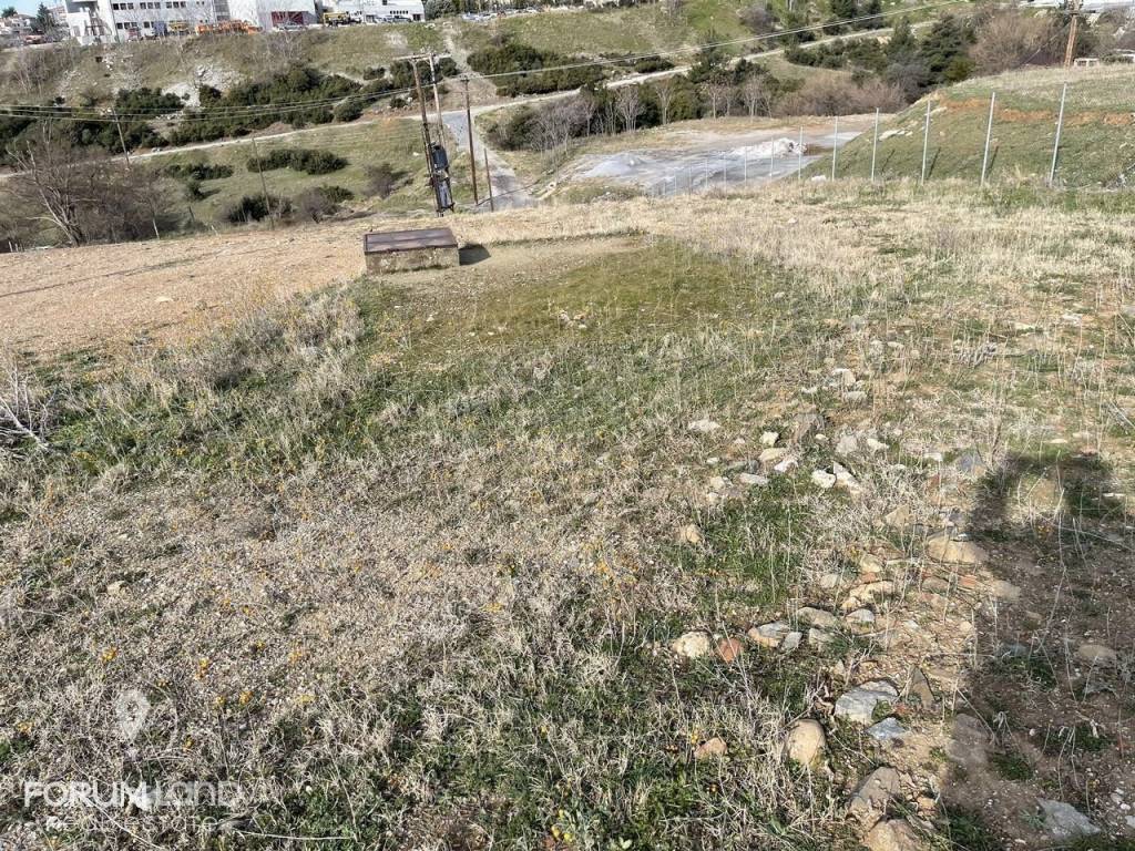 Forumland Real Estate, Αγροτεμάχιο 6.600τ.μ.