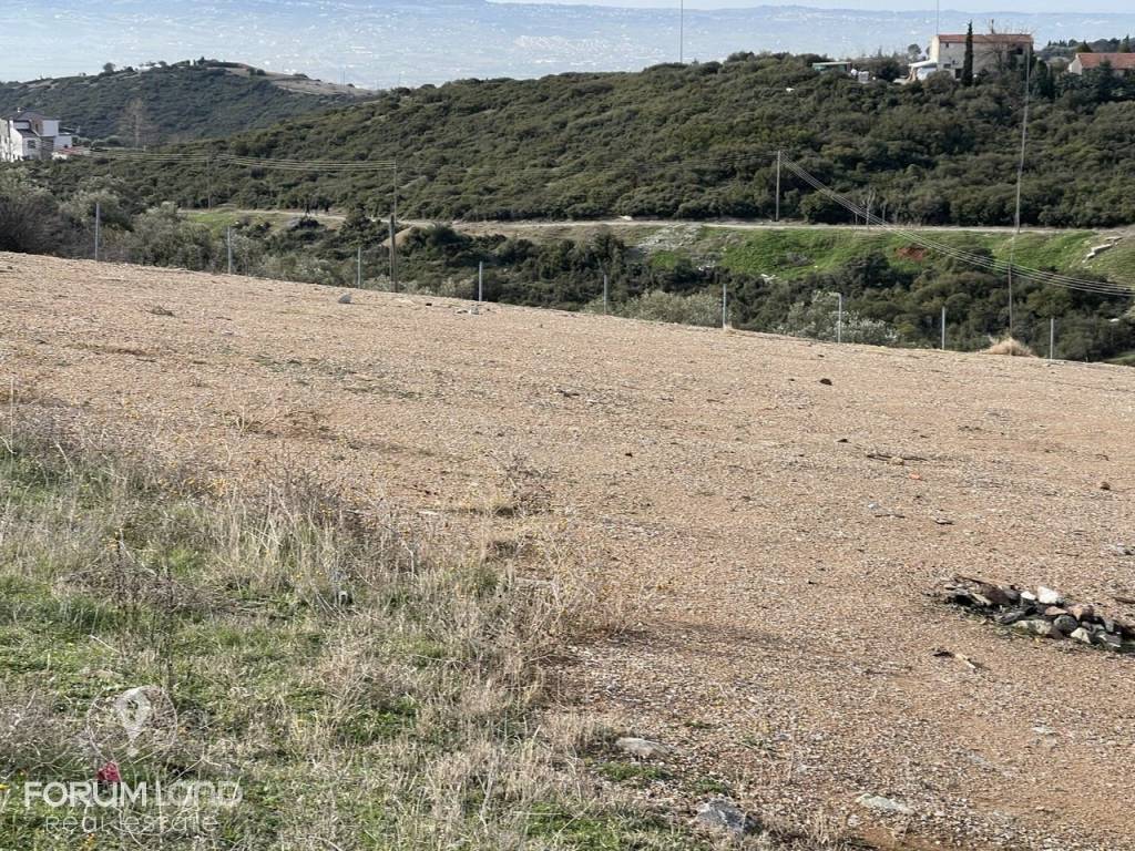 Forumland Real Estate, Αγροτεμάχιο 6.600τ.μ.