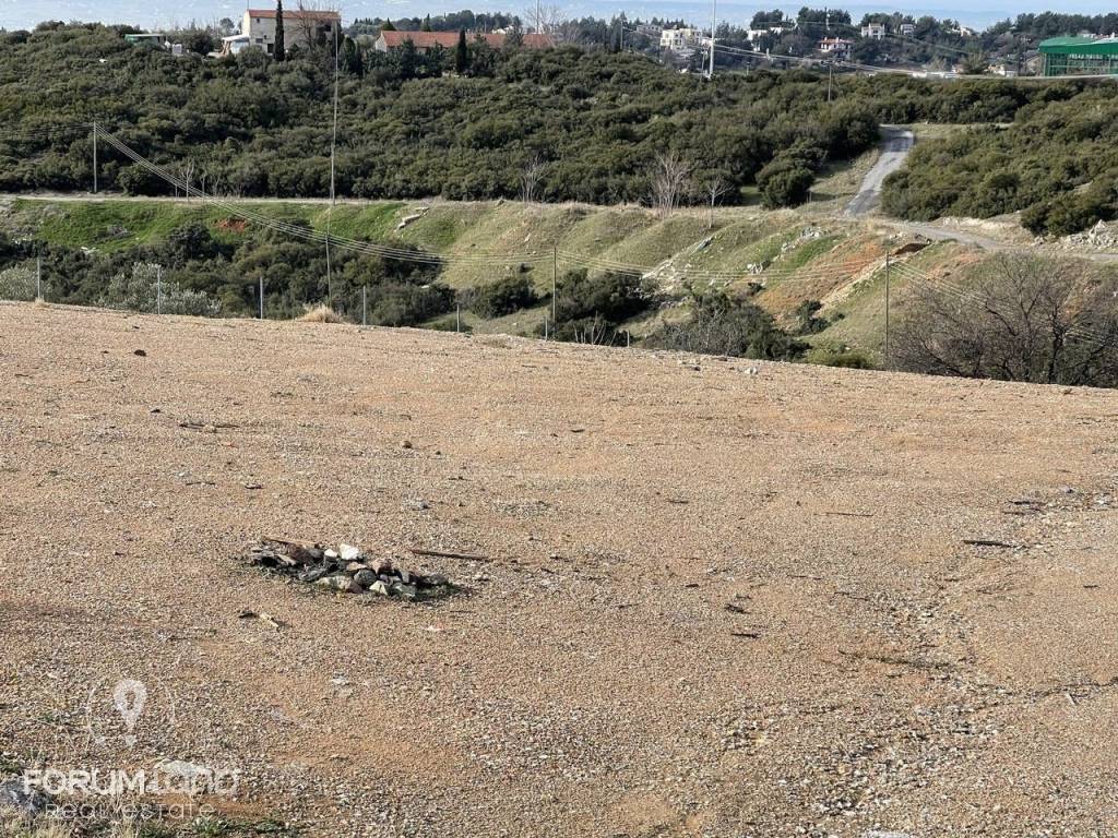 Forumland Real Estate, Αγροτεμάχιο 6.600τ.μ.