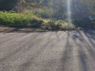 Εξωτερική άποψη