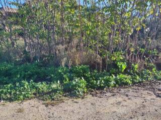 Εξωτερική άποψη