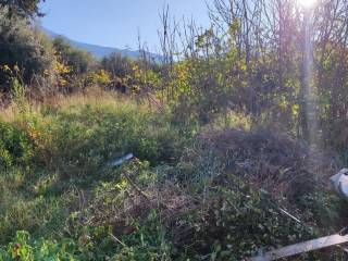 Εξωτερική άποψη