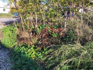 Εξωτερική άποψη