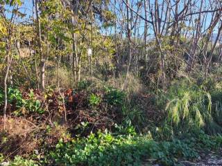 Εξωτερική άποψη