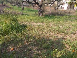 Εξωτερική άποψη