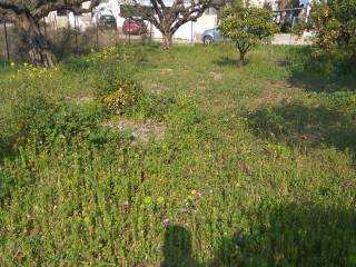 Εξωτερική άποψη