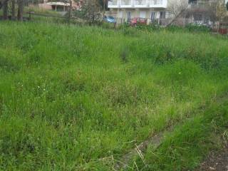 Εξωτερική άποψη