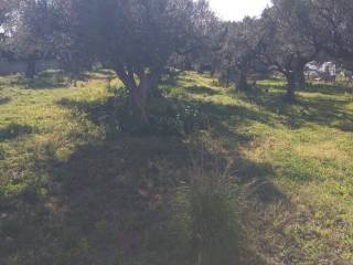 Εξωτερική άποψη