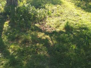 Εξωτερική άποψη