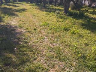 Εξωτερική άποψη