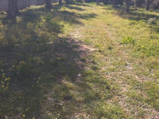 Εξωτερική άποψη