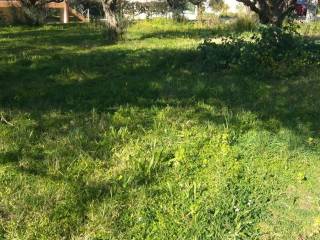 Εξωτερική άποψη