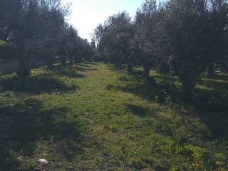 Εξωτερική άποψη