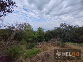 Εξωτερική άποψη