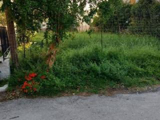 Εξωτερική άποψη