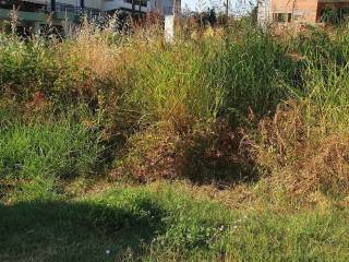 Αποψη χώρου