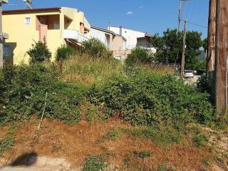 Αποψη χώρου