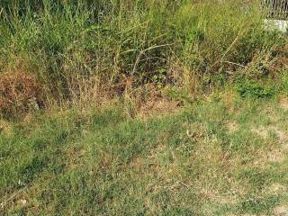 Αποψη χώρου