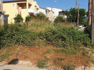 Αποψη χώρου