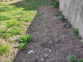 Εξωτερική άποψη