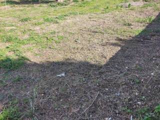 Εξωτερική άποψη