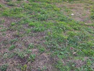 Εξωτερική άποψη