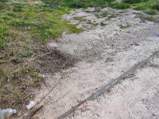 Εξωτερική άποψη