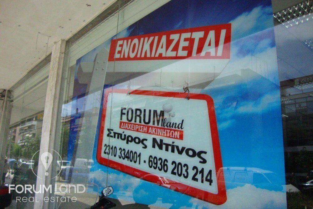 Forumland Real Estate, κατάστημα