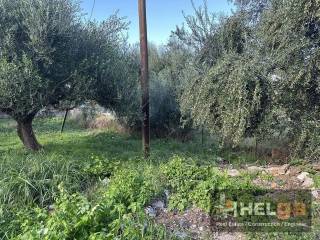 Αποψη χώρου