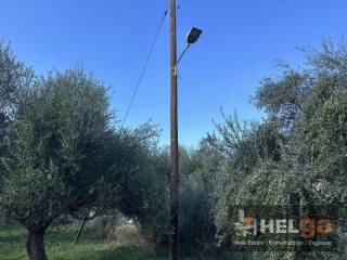 Αποψη χώρου