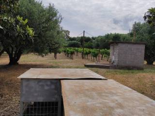 Αποψη χώρου