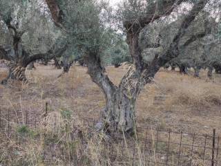 Αποψη χώρου