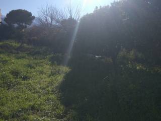 Αποψη χώρου