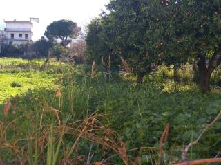 Αποψη χώρου