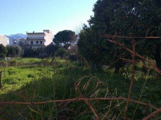 Αποψη χώρου