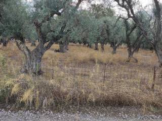Αποψη χώρου