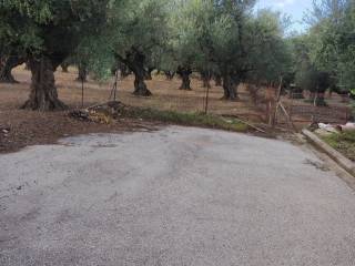 Αποψη χώρου