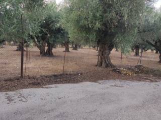 Αποψη χώρου