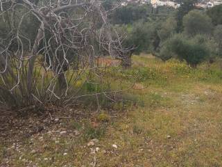 Εξωτερική άποψη