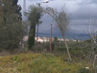 Εξωτερική άποψη