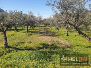 Εξωτερική άποψη