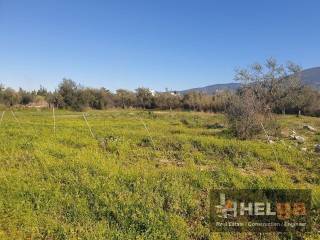 Εξωτερική άποψη