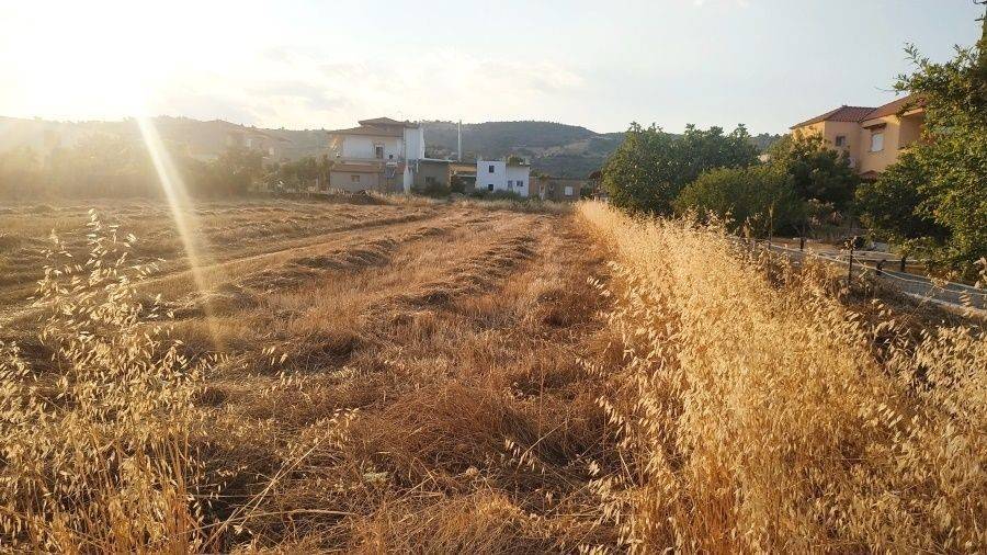 Εξωτερικοι χώροι