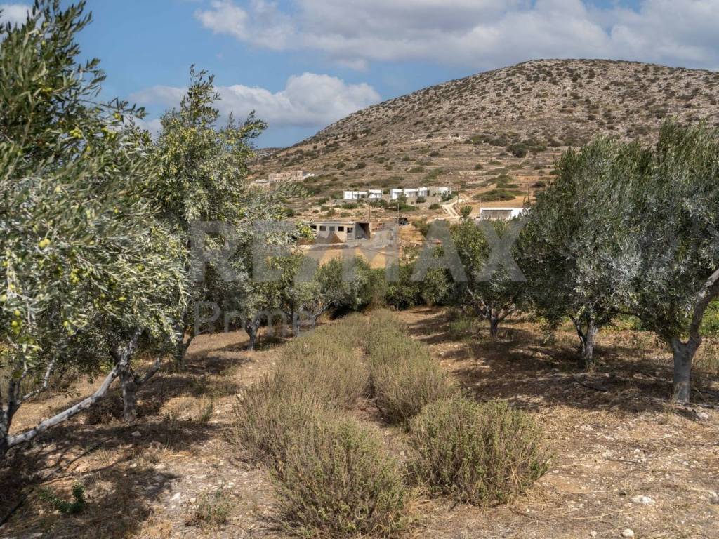 Εξωτερικοι χώροι