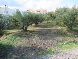 Θέα στο οικόπεδο