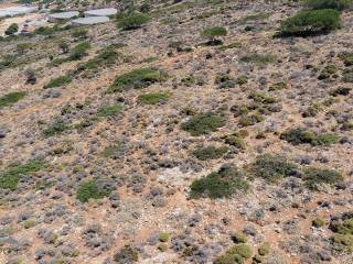 Seaview plot of land