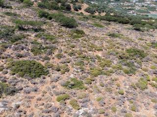 Seaview plot of land