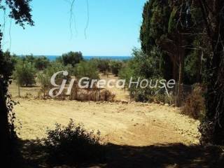 Sales of plots and plots of land in Epidaurus