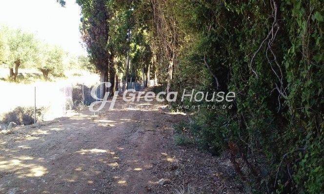 Sales of plots and plots of land in Epidaurus