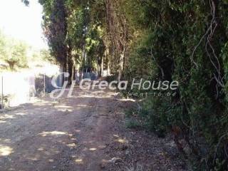Sales of plots and plots of land in Epidaurus